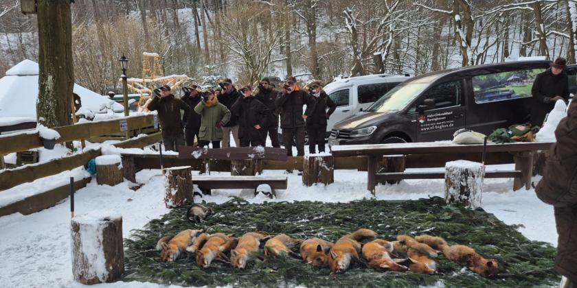 Fuchsansitz_01.02.2026