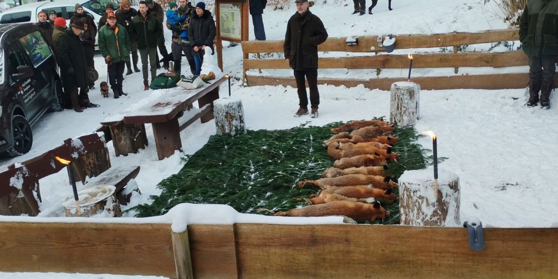 WhatsApp Image 2026-02-01 at 12.10.25 (1)