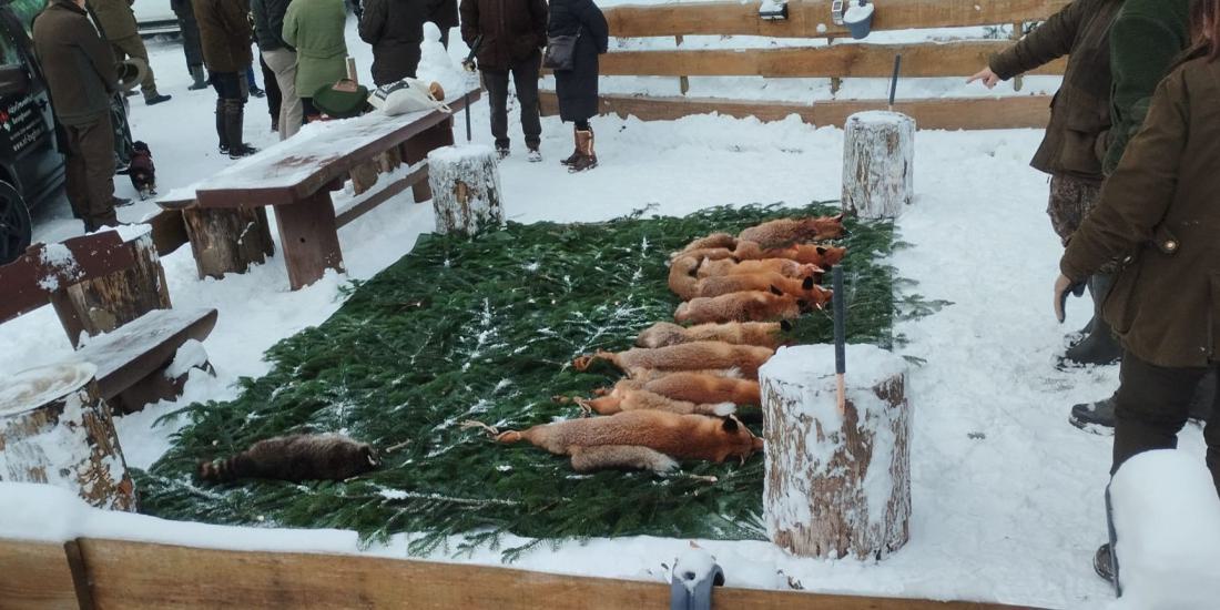 WhatsApp Image 2026-02-01 at 12.10.27 (1)