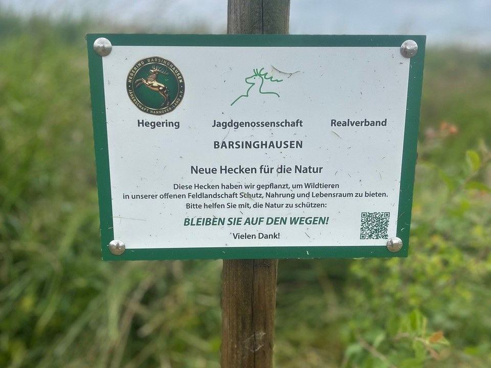 bild1