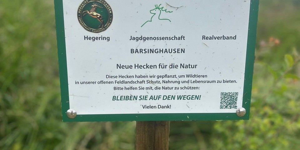 bild1